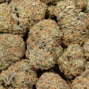 Afghani Kush Strain