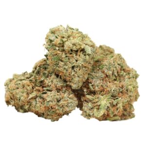 Blackberry Gelato Marijuana Strain
