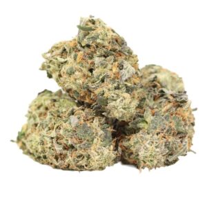 Blood Orange Marijuana Strain