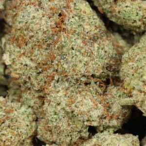 Guava Kush Strain