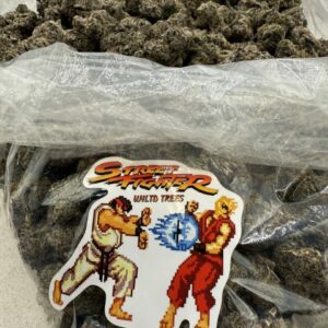 Street Fighter