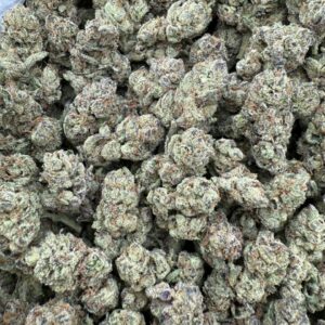 Gelato 33