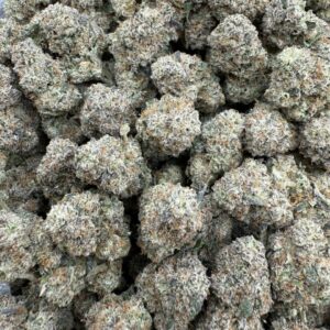 Bubblegum Gelato