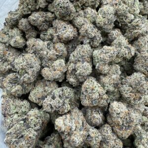 Purple Unicorn