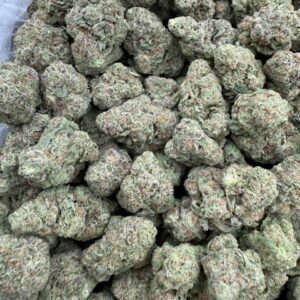Jungle Mints