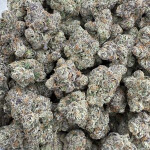 Jungle Mints sm