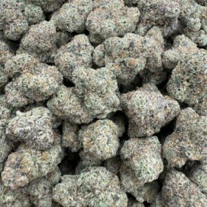 Black Cherry Gelato