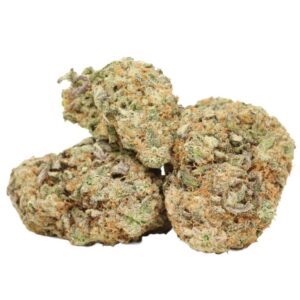 Jack Herer Marijuana Strain